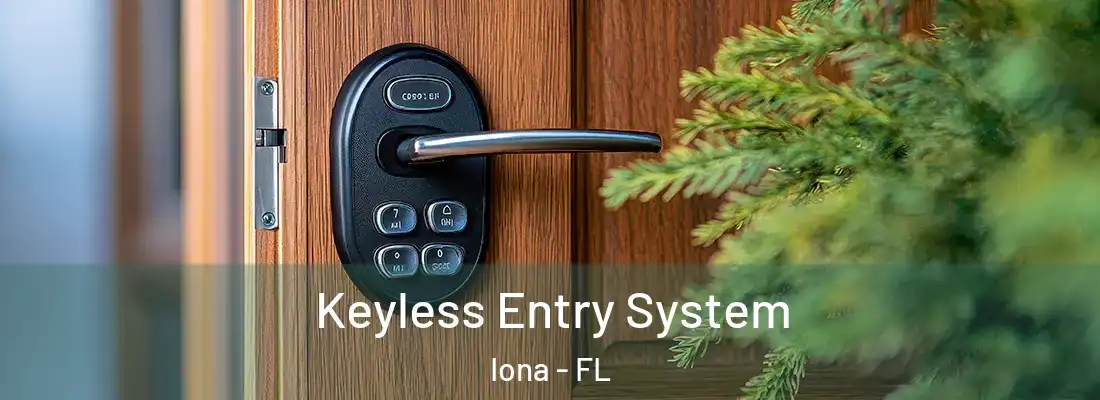  Keyless Entry System Iona - FL