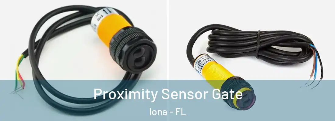  Proximity Sensor Gate Iona - FL