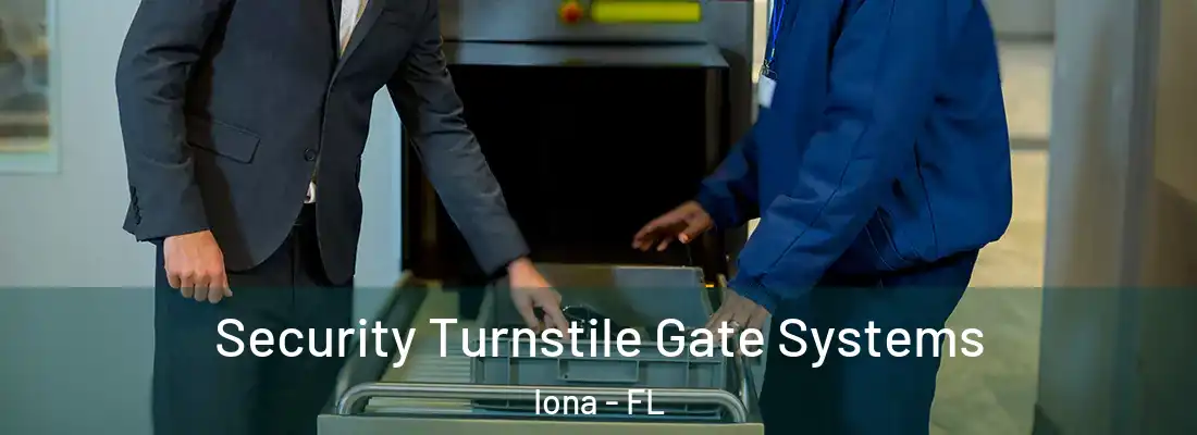  Security Turnstile Gate Systems Iona - FL
