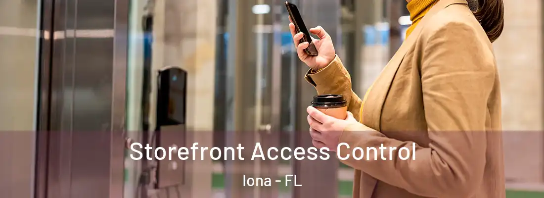  Storefront Access Control Iona - FL